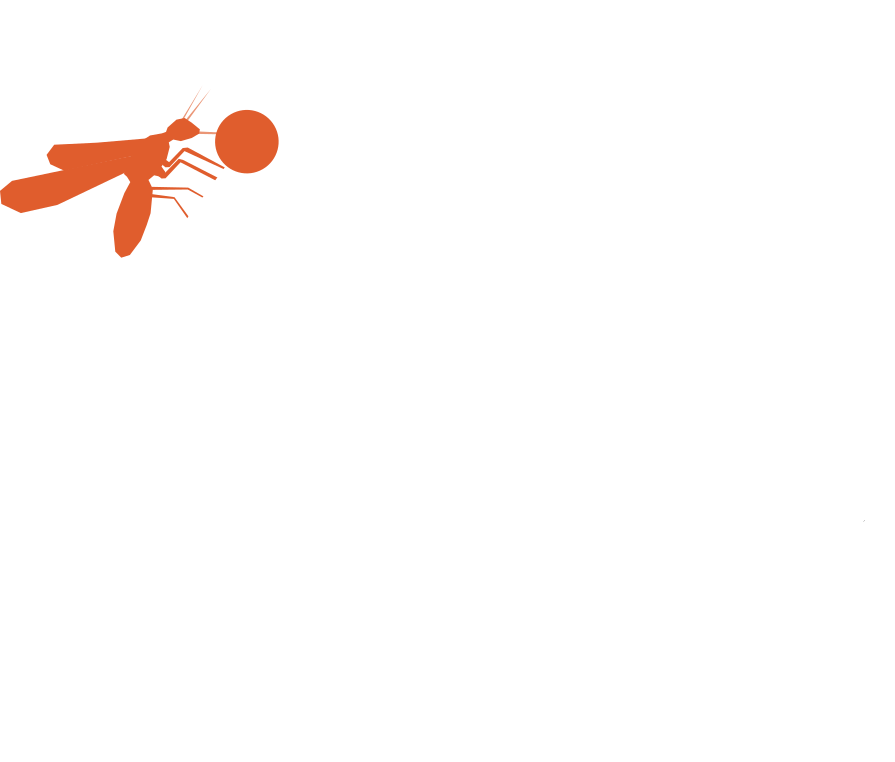 noscito.network logo